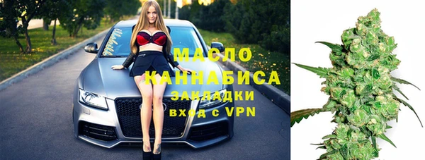 гидра Арсеньев