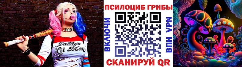 Псилоцибиновые грибы Cubensis  Таруса 